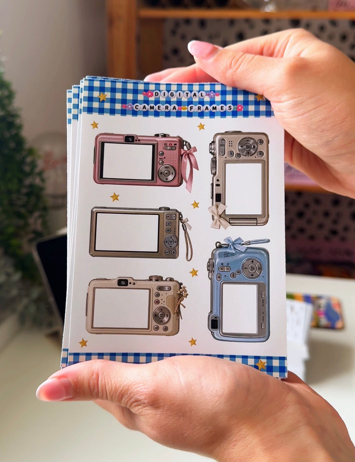 Digital Camera Frames